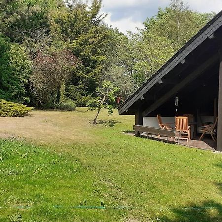 Ferienhaus Province Oberemmel المظهر الخارجي الصورة
